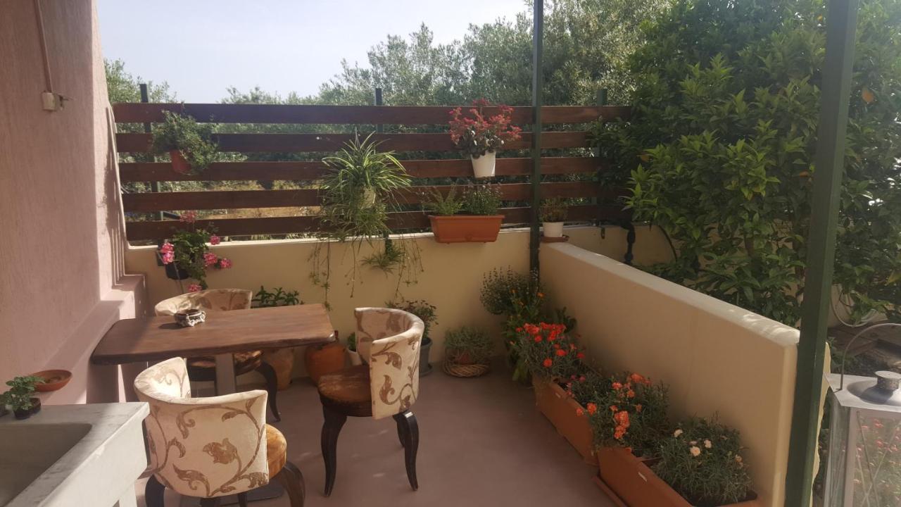 Ierapetra Garden House Daire Dış mekan fotoğraf
